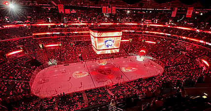 Florida panthers
