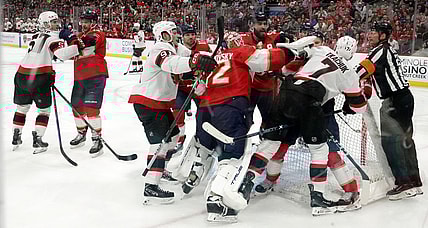 Panthers senators