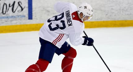 Florida panthers