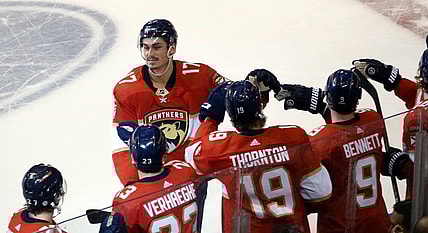 Florida panthers