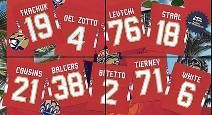 Florida panthers