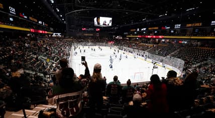 Panthers coyotes
