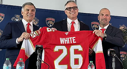Florida panthers