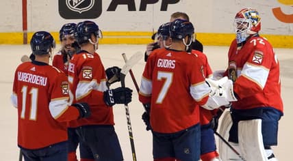 Florida panthers