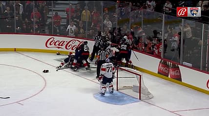 Panthers senators