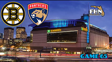 Panthers bruins