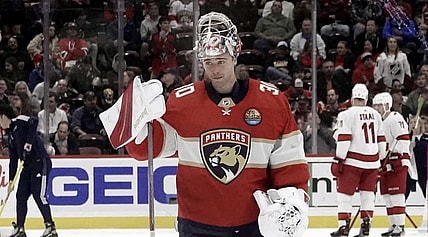 Florida panthers