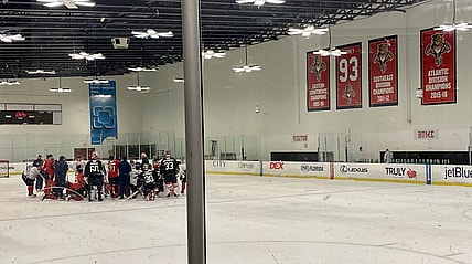 Florida panthers toronto