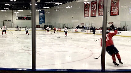 Florida panthers rookies