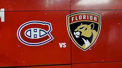 Florida panthers