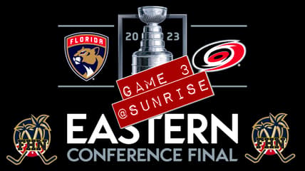 Panthers hurricanes