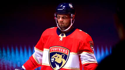 Kulikov panthers