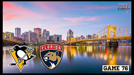 Panthers penguins