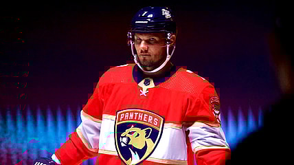Kulikov panthers