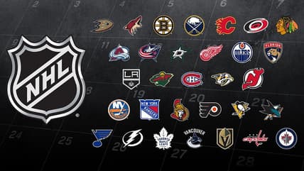 Nhl back ice