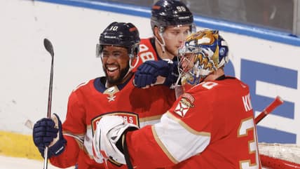 Canadiens panthers