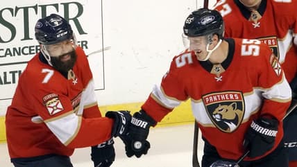 Florida panthers