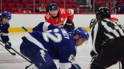Florida panthers