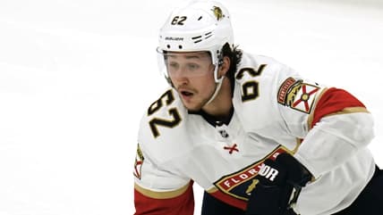 Florida panthers