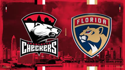 Florida panthers