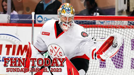Florida panthers