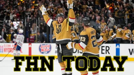 Vegas golden knights