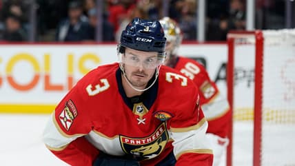 Florida panthers