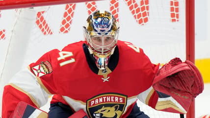 Stolarz panthers