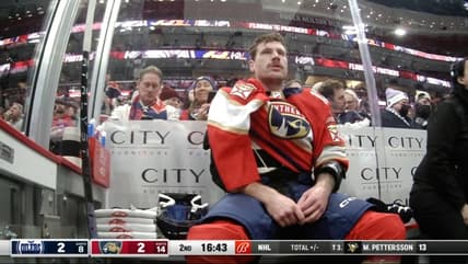 Gadjovich panthers