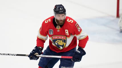 Ekblad panthers