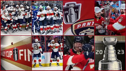 Florida panthers