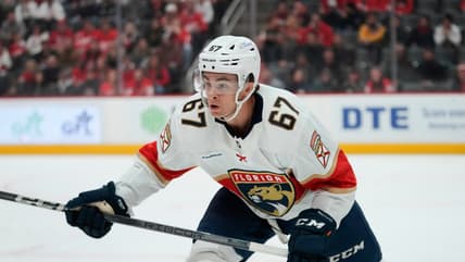 Florida panthers