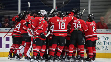 Florida panthers cup