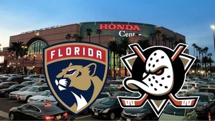 Panthers ducks