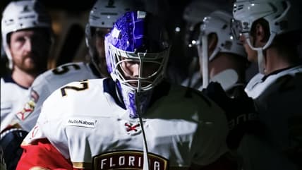 Panthers kings