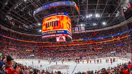 Florida panthers