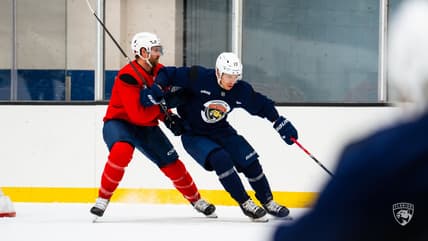 Florida panthers