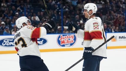 Florida panthers