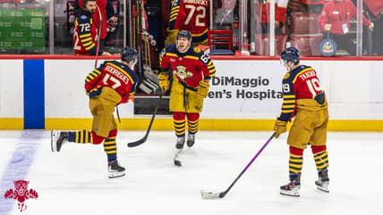 Florida panthers