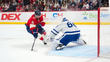 Florida panthers