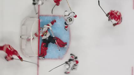 Florida panthers