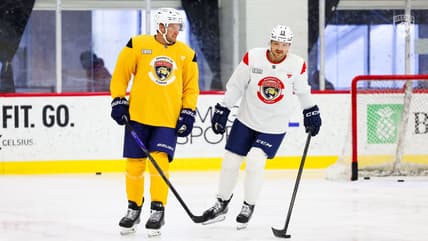 Panthers reinhart