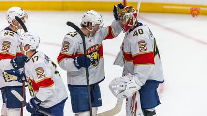 Florida panthers