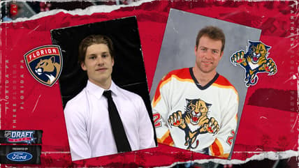 Florida panthers