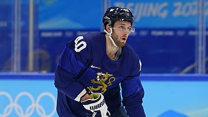 Florida panthers
