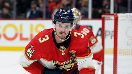 Florida panthers