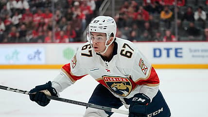 Florida panthers