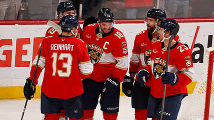 Florida panthers