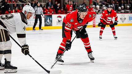Florida panthers