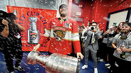 Florida panthers